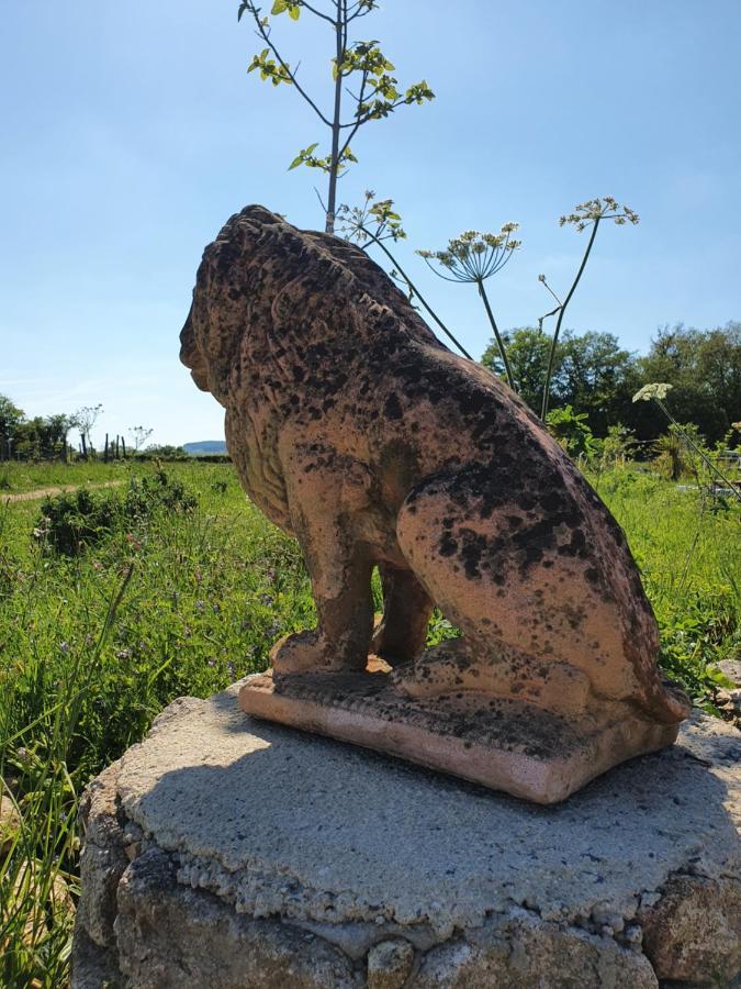 D'Oehoe Lavaufranche المظهر الخارجي الصورة