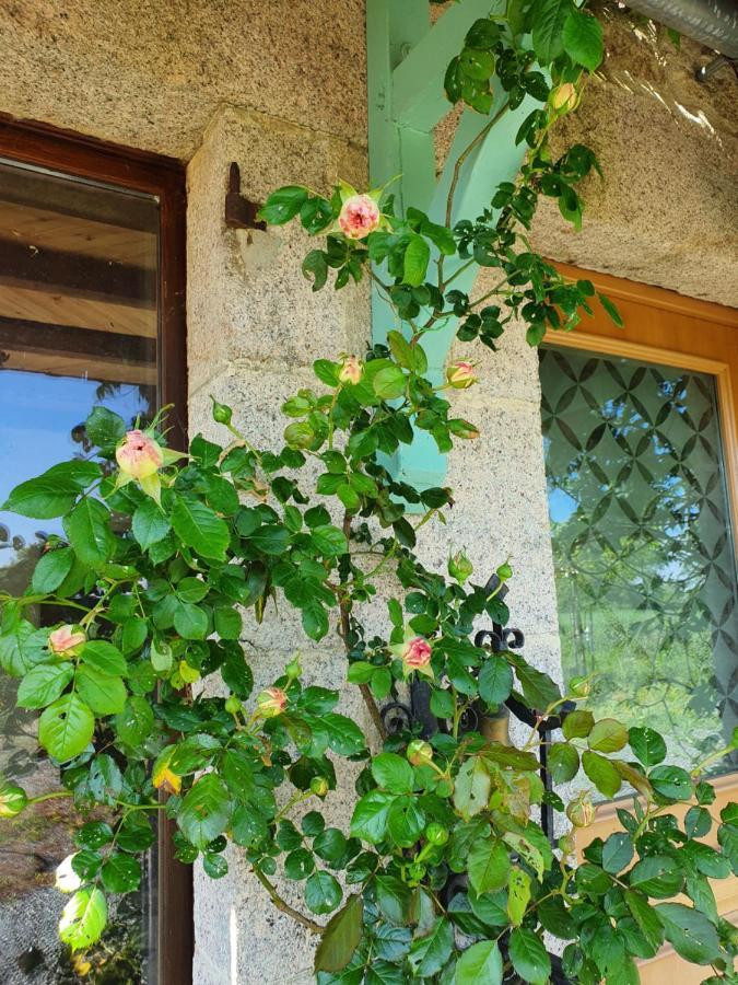 D'Oehoe Lavaufranche المظهر الخارجي الصورة